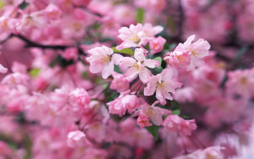 1713930 (a): :2560x1600